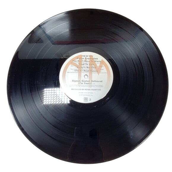 Lot of 3 A&M Vinyl Records Peter Frampton Chris de Burgh 12" 33 rpm Vintage - Picture 7 of 16